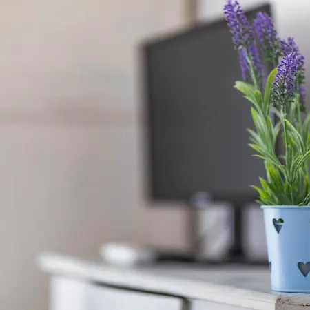 Barbacana * Villanova d'Albenga